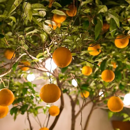 Diamante Beachfront Apartmán *