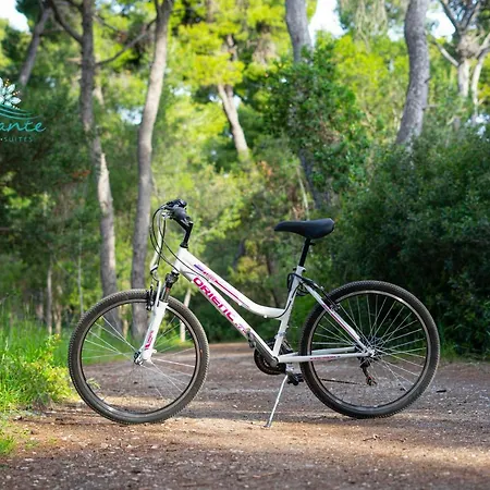 Diamante Beachfront *