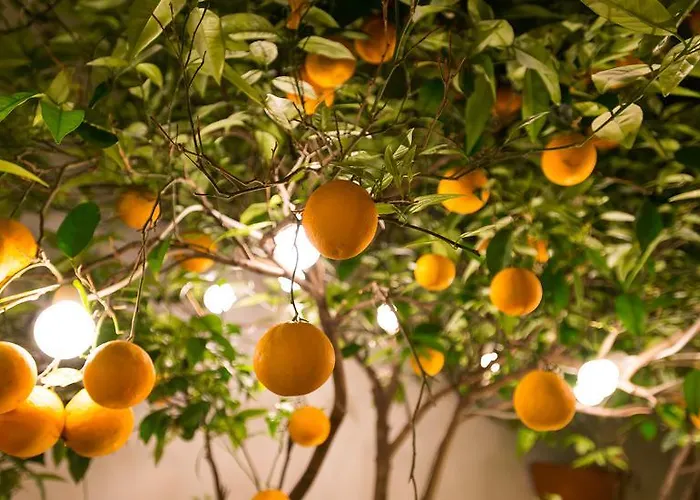 Diamante Beachfront Apartamento *