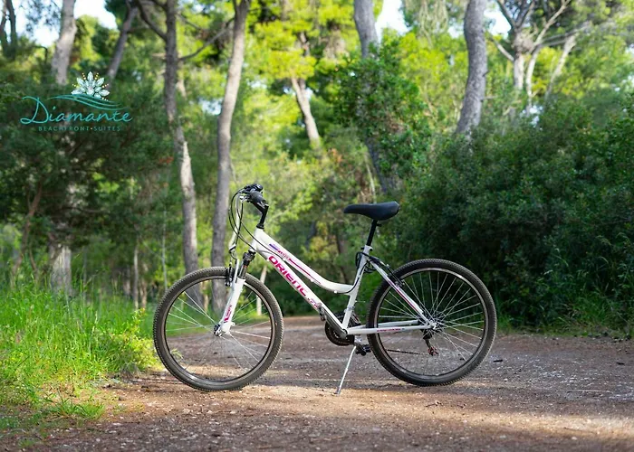 Diamante Beachfront *